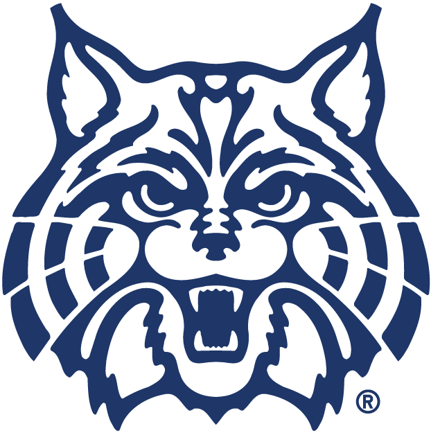 Arizona Wildcats 1990-Pres Alternate Logo diy iron on heat transfer